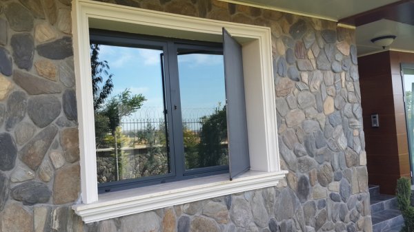 Pendik Pencere Sinekliği